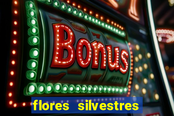 flores silvestres desbravadores desbravadores 25